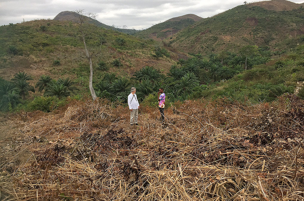 Achat d’un terrain